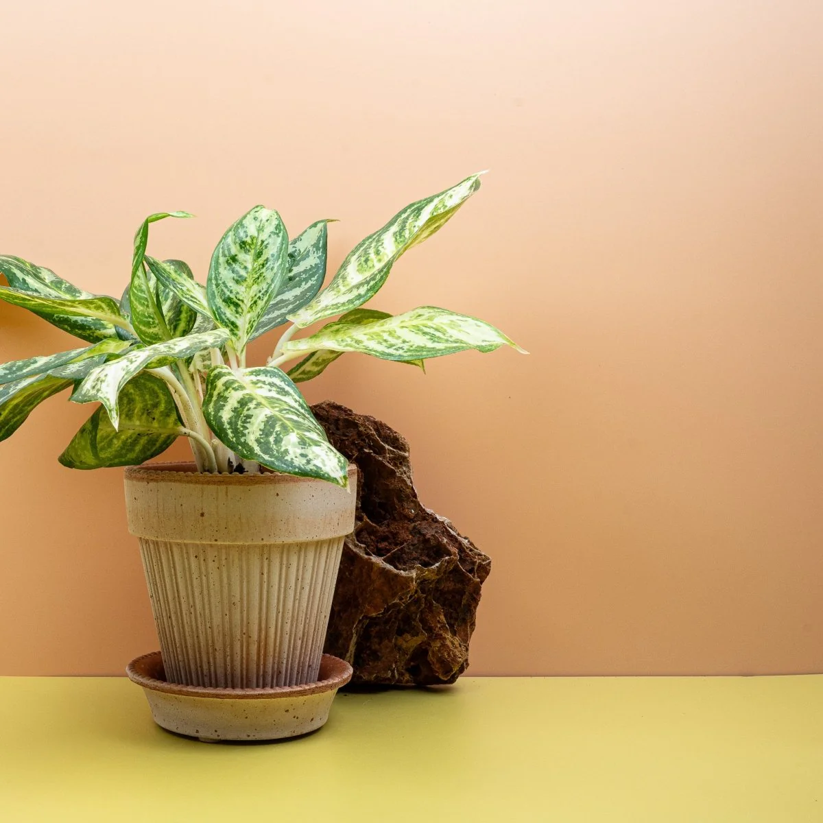 Produktbild 3